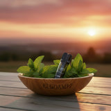 ELFBAR ELFA - Menthol Pods