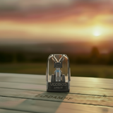VOOPOO Argus Pods